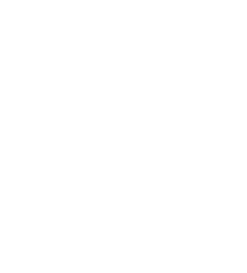 linkedin-icon